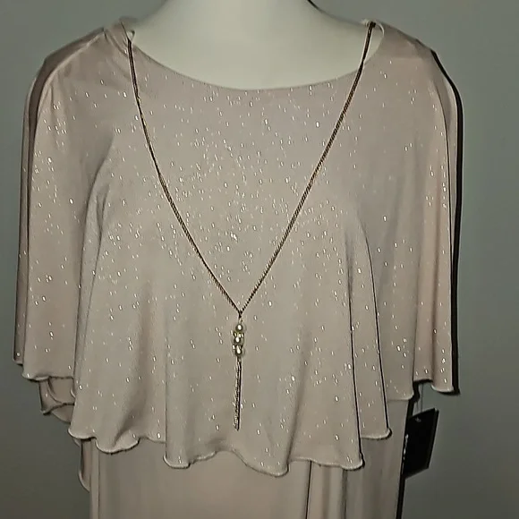 EN FOCUS Studio woman Sparkly Nude + Gold Sheer Tank Dress 16W NWT - Picture 2 of 14